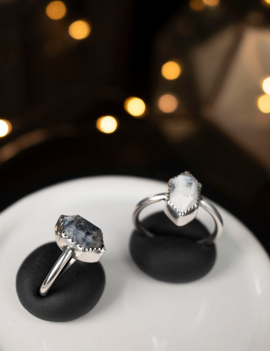 EKRJ825_ Dendrite Agate Faceted Double Terminated Pointers One-of-a kind Silver Ring