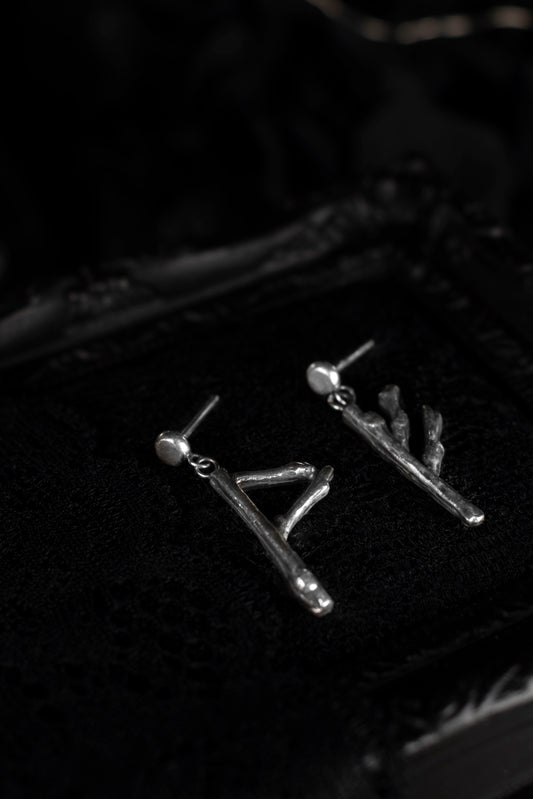 EKRJ889 Fehu & Wunjo Viking Runes Silver Earrings