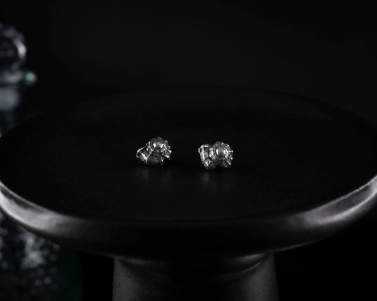 EKRJ694 Sterling Silver Conch Shell Earrings