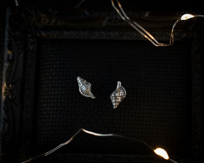 EKRJ685 Sterling Silver Conch Shell Earrings
