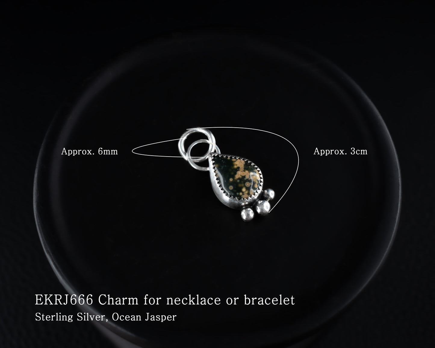 EKRJ666 Ocean Jasper Silver Charms