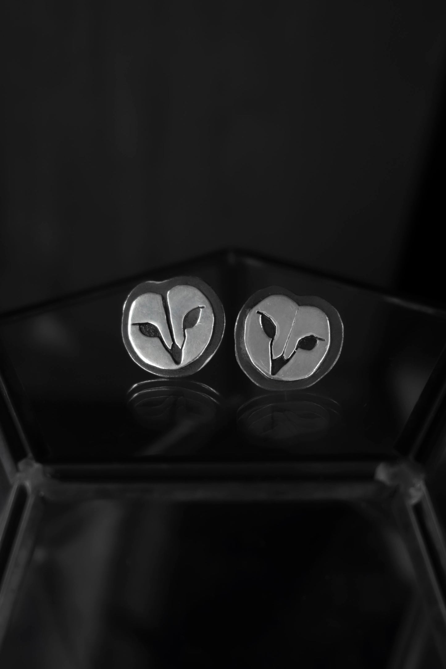EKRJ706 Barn Owl Face Sterling Silver Earrings