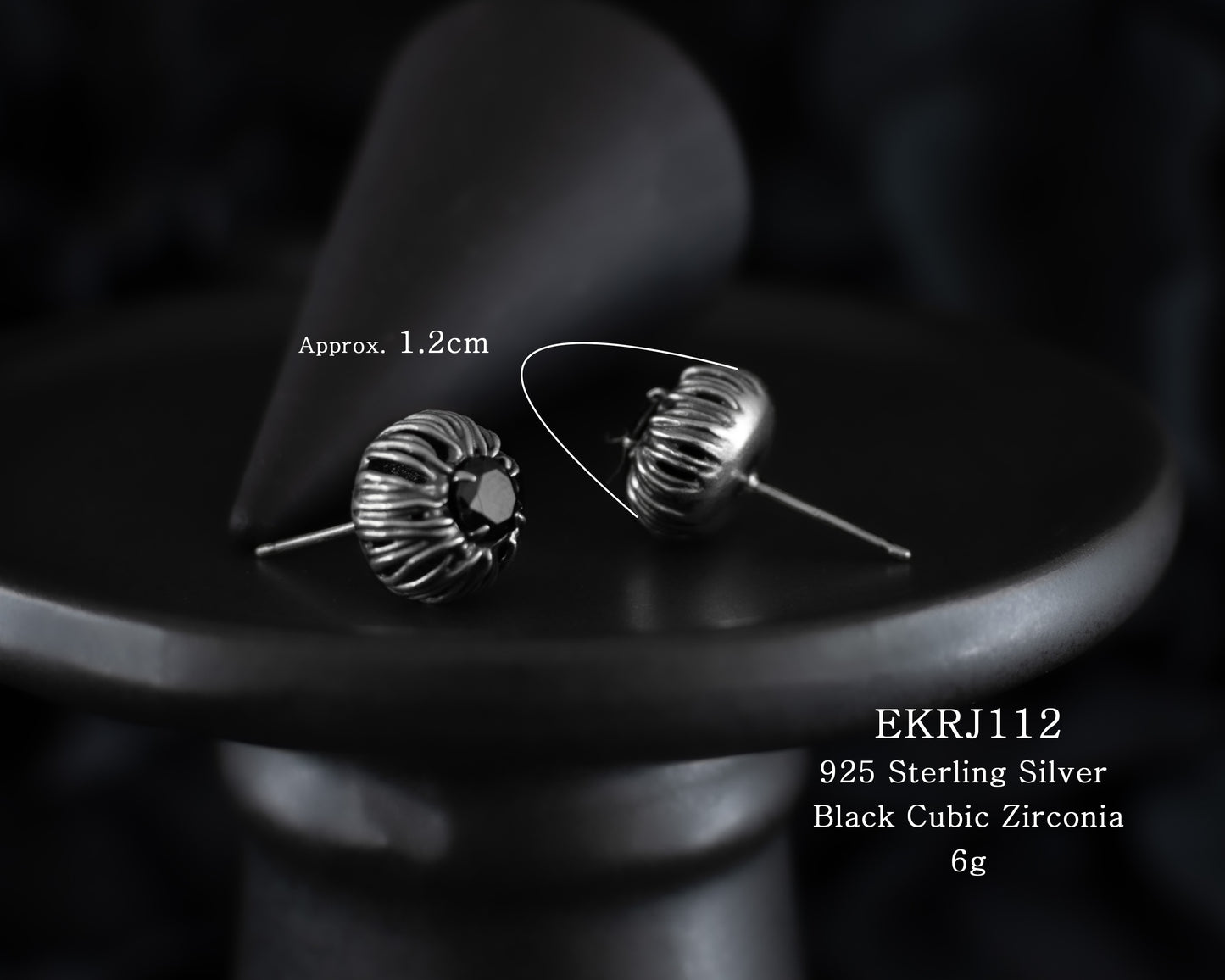 EKRJ112 Black Cubic Zirconia Silver Earrings